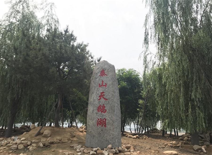 天鵝湖風(fēng)景區(qū)（泰山）速覽！(圖12)