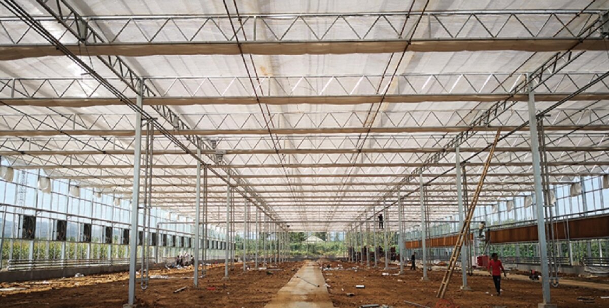 信橋鋼構(gòu)：打卡蒙陰農(nóng)業(yè)溫室大棚、青州黑牛養(yǎng)殖基地！(圖3)